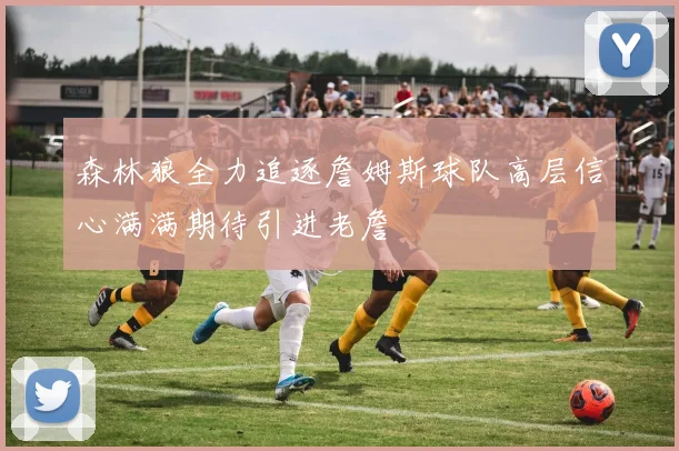 森林狼全力追逐詹姆斯球队高层信心满满期待引进老詹