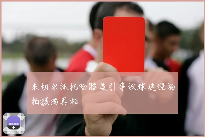 米切尔抓托哈膝盖引争议球迷现场拍摄揭真相